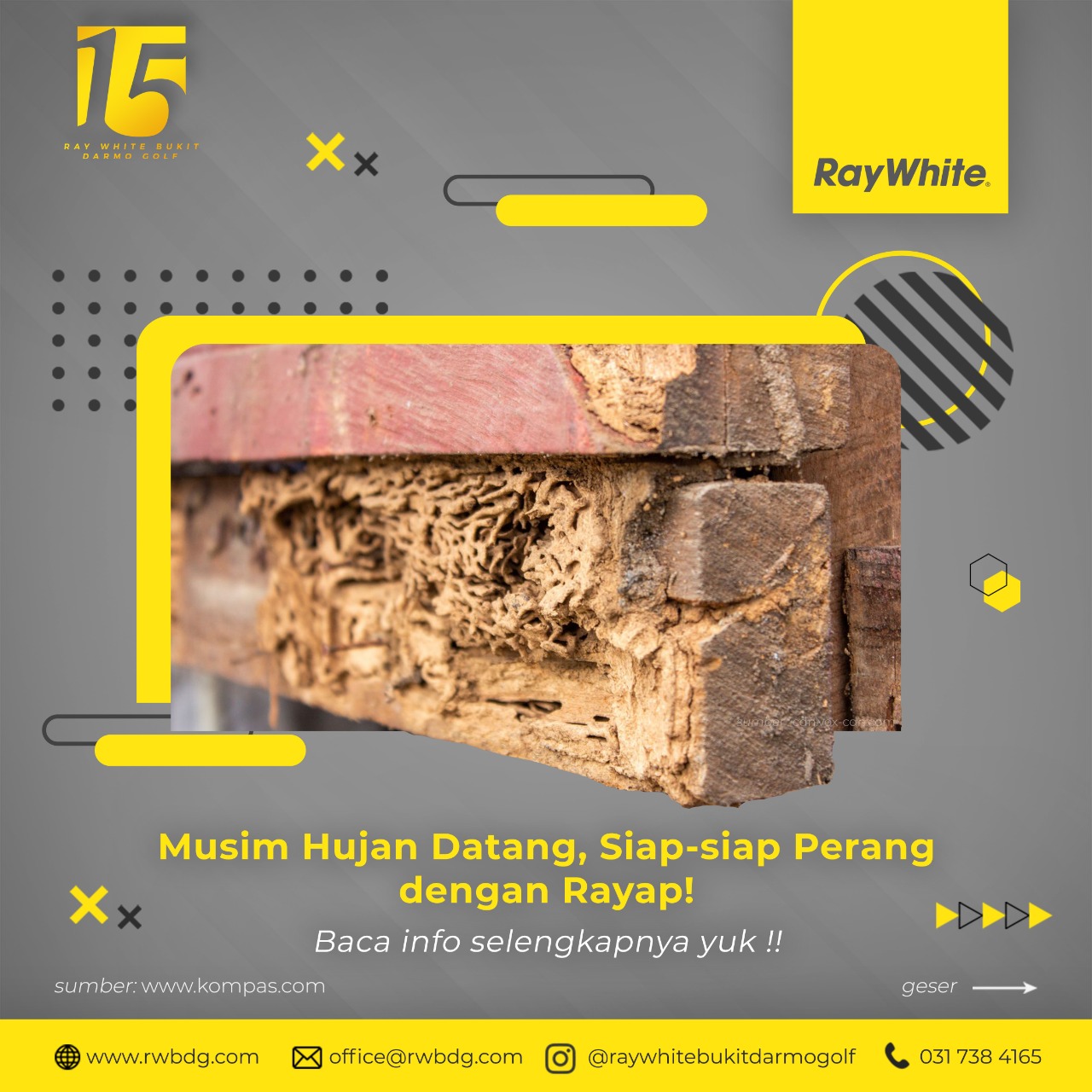 Musim Hujan Datang, Siap-siap Perang Dengan Rayap