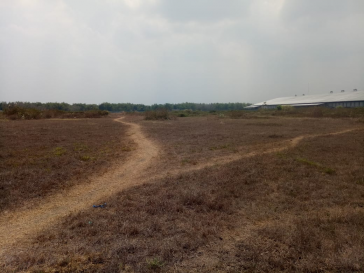 Tanah di Jombang Desa Tales, Strategis Area Industrial, Nol Jalan